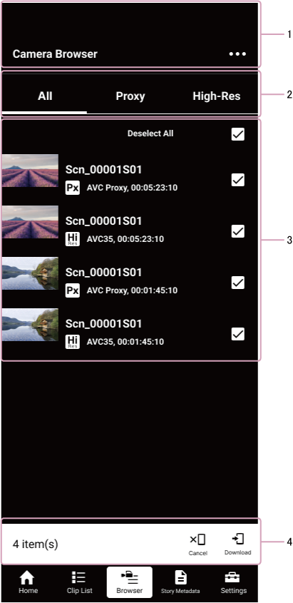 Camera browser screen