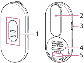 Illustrazione che mostra le parti del tag