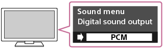本图显示有关在电视机上将PCM指定为数字音频输出方法的屏幕指示