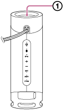 Illustration de l'emplacement du radiateur passif de l'enceinte
