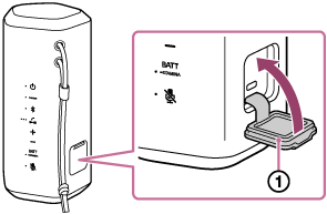 رسم توضيحي لمكبر الصوت يبين مكان الغطاء