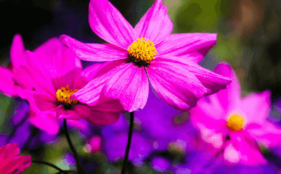 شکل مربوط به حالت تصویر [روشن]