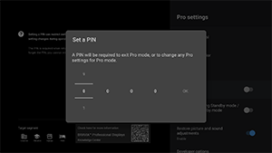 Pantalla de ajuste de PIN para bloquear el modo Pro.